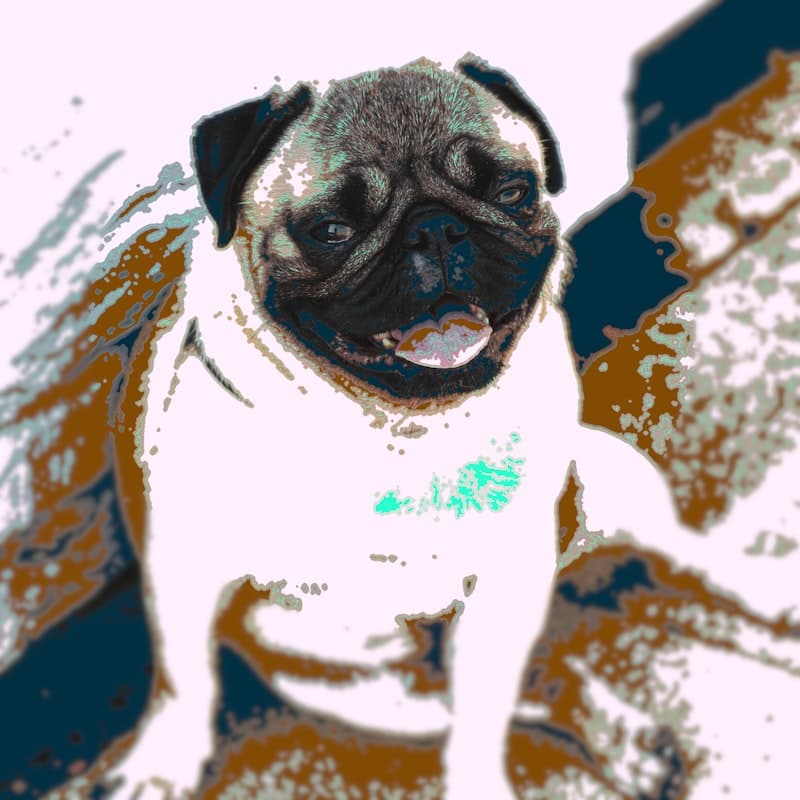 Fake It album art